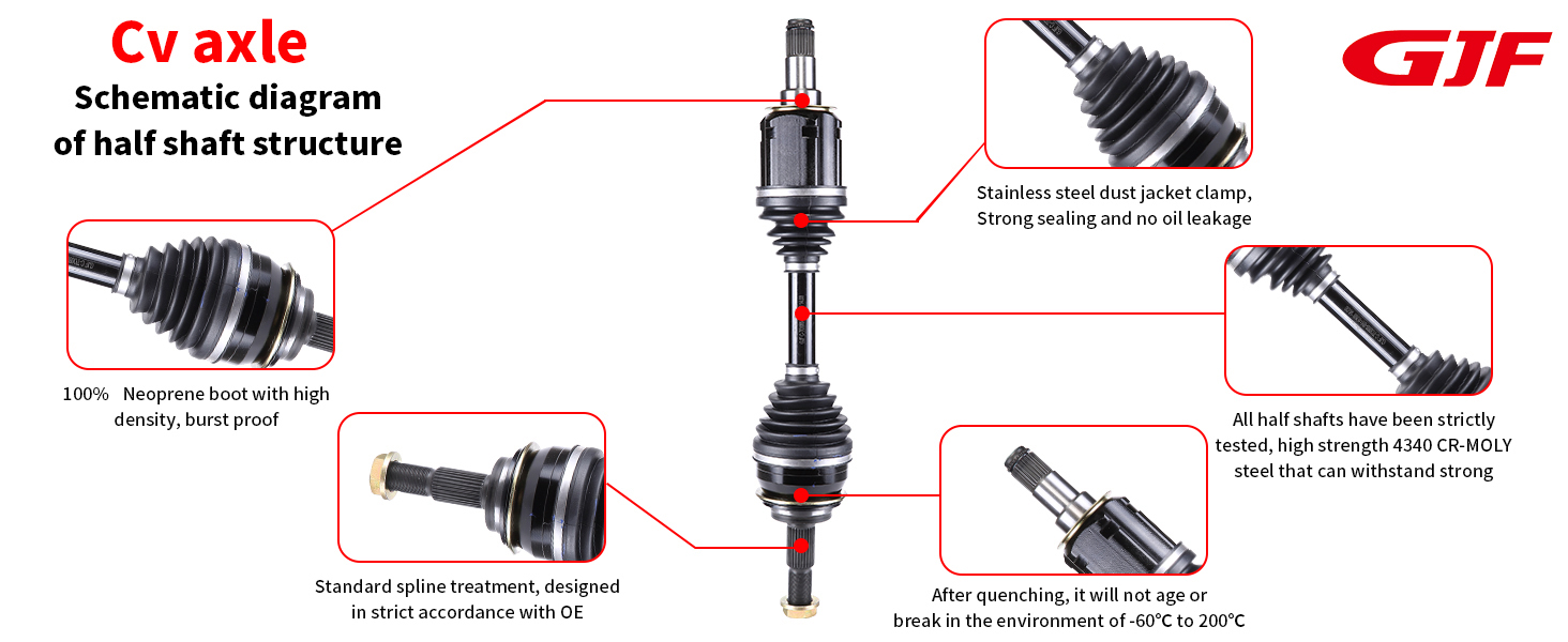 详情页1 هيكل محور السيرة الذاتية